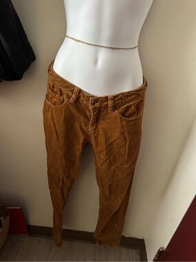 Patagonia Brown Corduroy Women's Jeans
